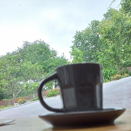La Casa Bed&Breakfast Entree Independante 26M2 Calme Proche De Tout Wifi Parking Prive Jardin Terrasse Urrugne Ngoại thất bức ảnh